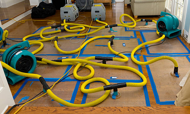 Professional Storm Water Damage Restoration technician working in Folcroft, PA